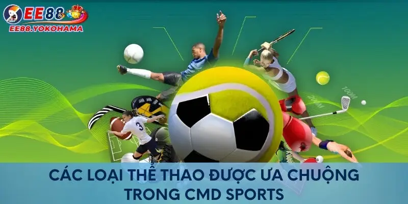 Các loại thể thao được ưa chuộng trong CMD Sports