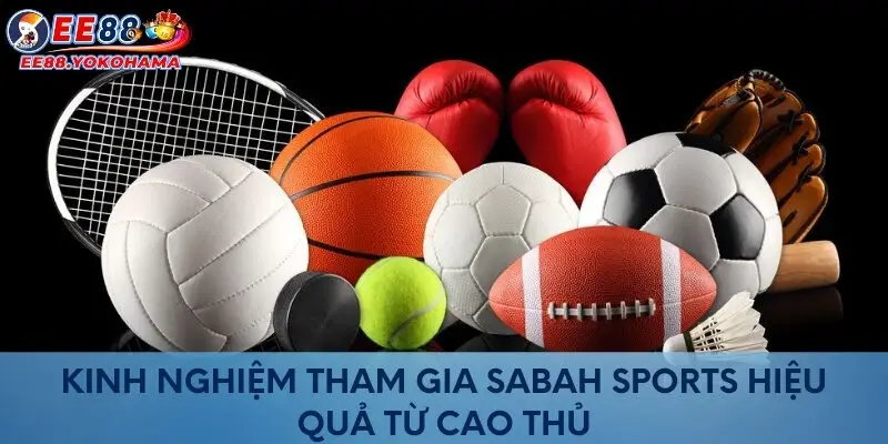Kinh nghiệm tham gia Sabah Sports hiệu quả từ cao thủ