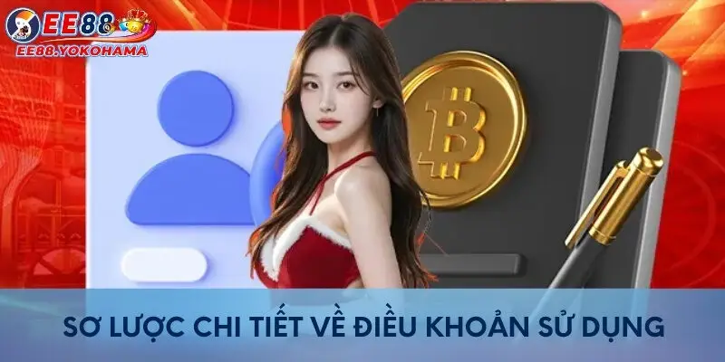 Sơ lược chi tiết về điều khoản sử dụng